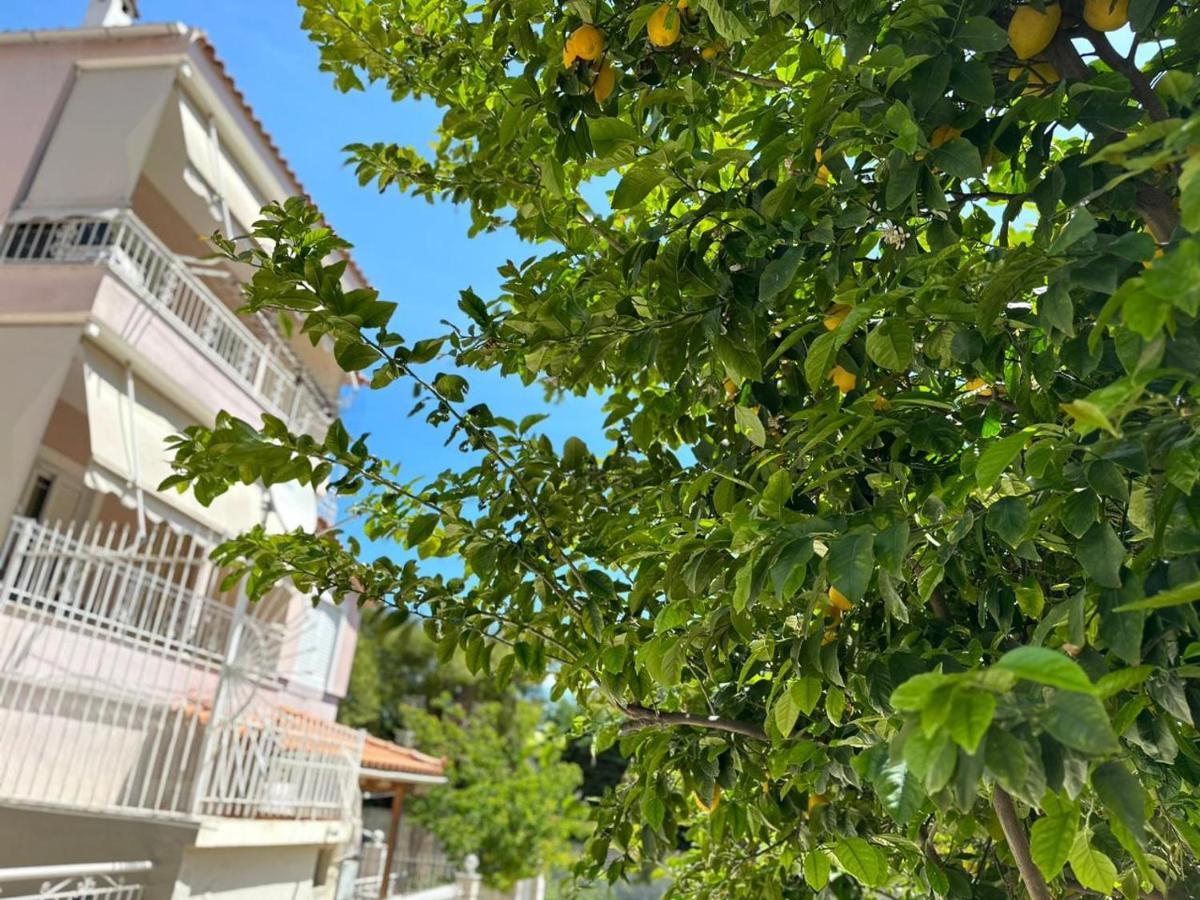 La Vita Apartments-Near Airport & Sea Artemida  Buitenkant foto